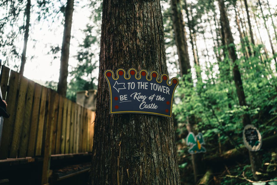 A whimsical sign pointing to a tower in a dense forest, suggesting an adventure.